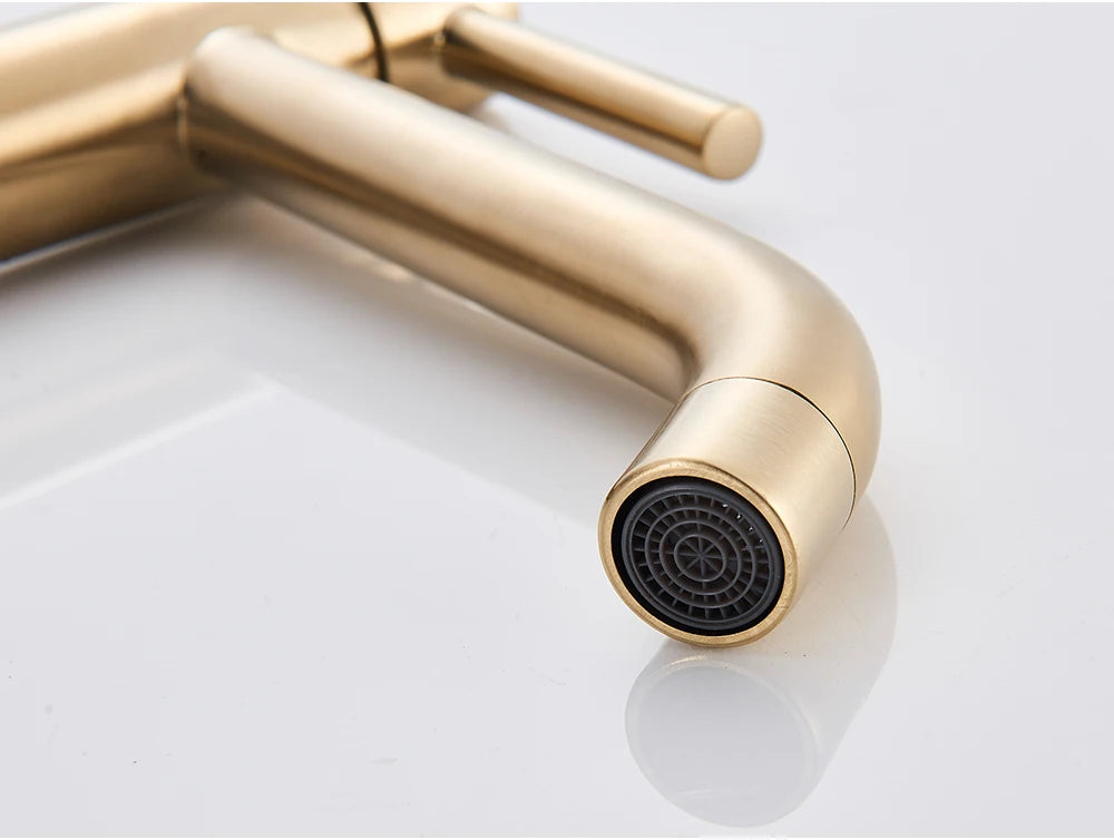Torneira Alta Monocomando para Banheiro Misturador Quente e Fria Linha Evora